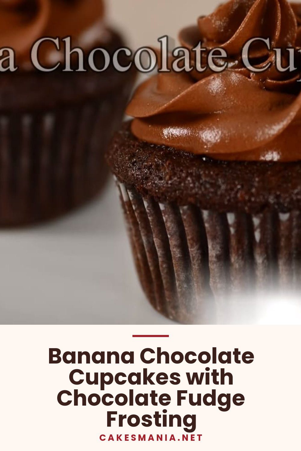 Banana Chocolate Cupcakes with Chocolate Fudge Frosting