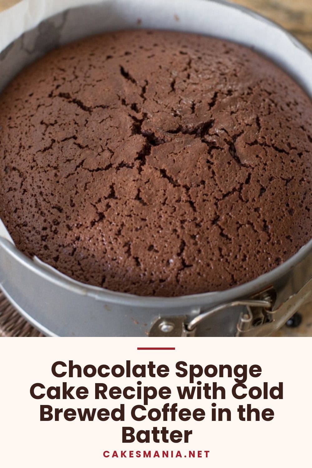 Chocolate Sponge Cake Recipe with Cold Brewed Coffee in the Batter