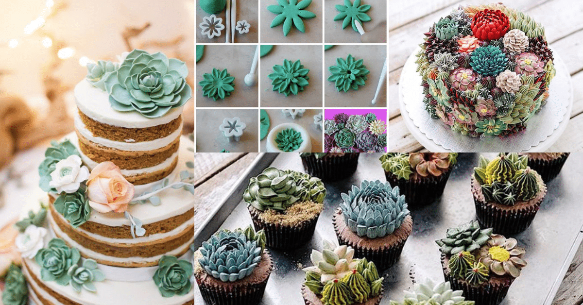 cake decorated with succulents