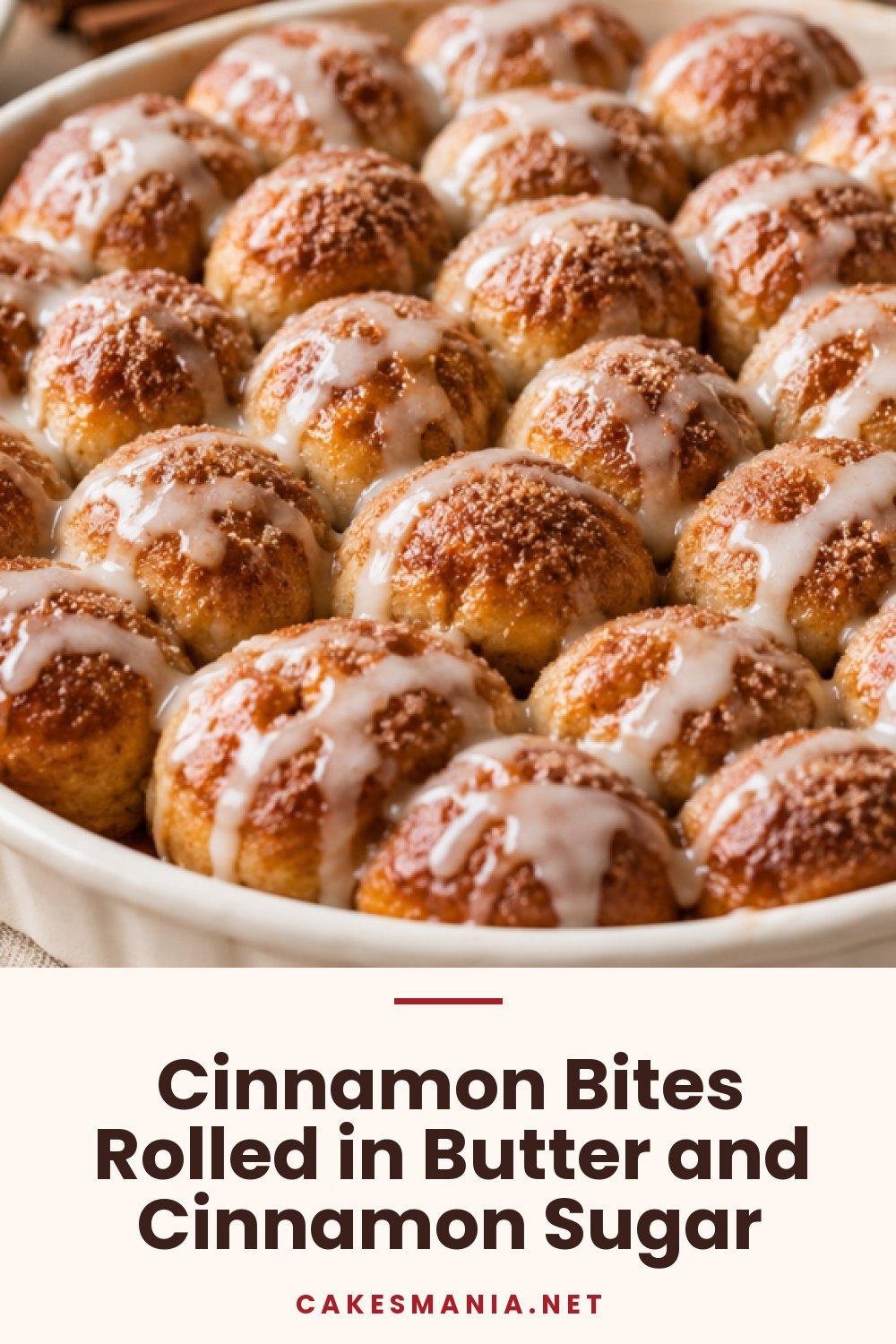 Cinnamon Bites Rolled in Butter and Cinnamon Sugar