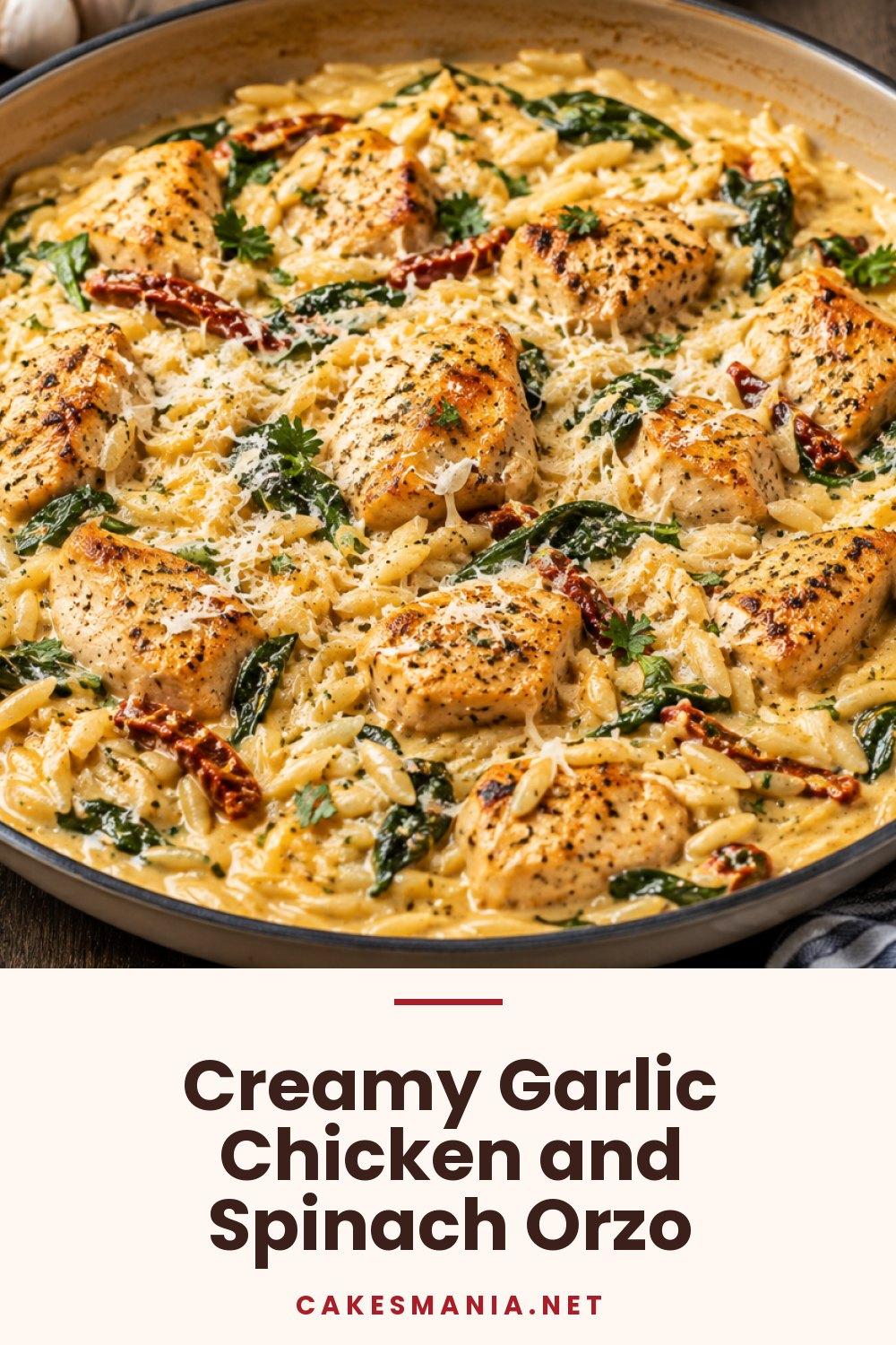Creamy Garlic Chicken and Spinach Orzo