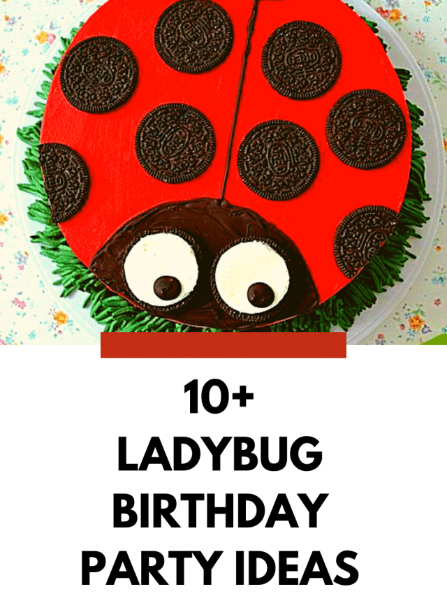 Ladybug themed party ideas