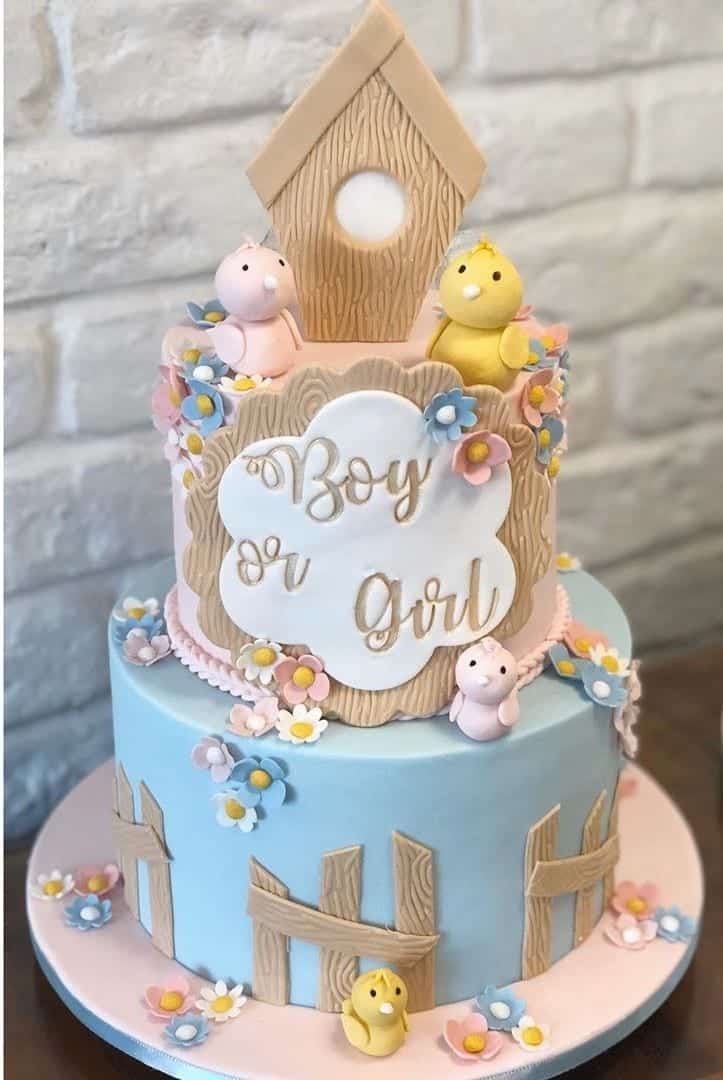 gender reveal baby cake 15