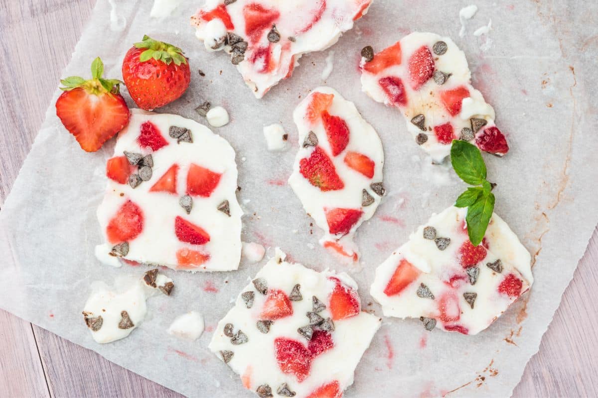 homemade frozen yogurt fruit bark