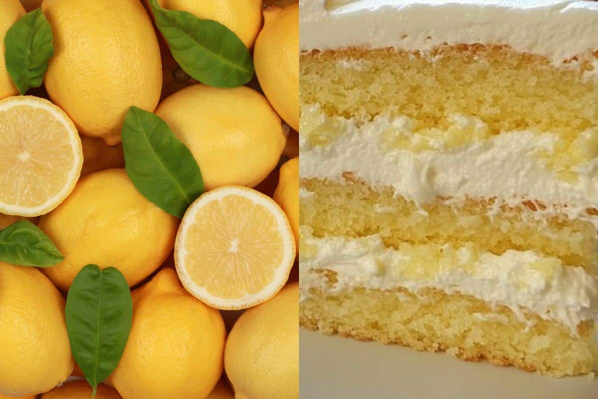 italian lemon cream cake recipe