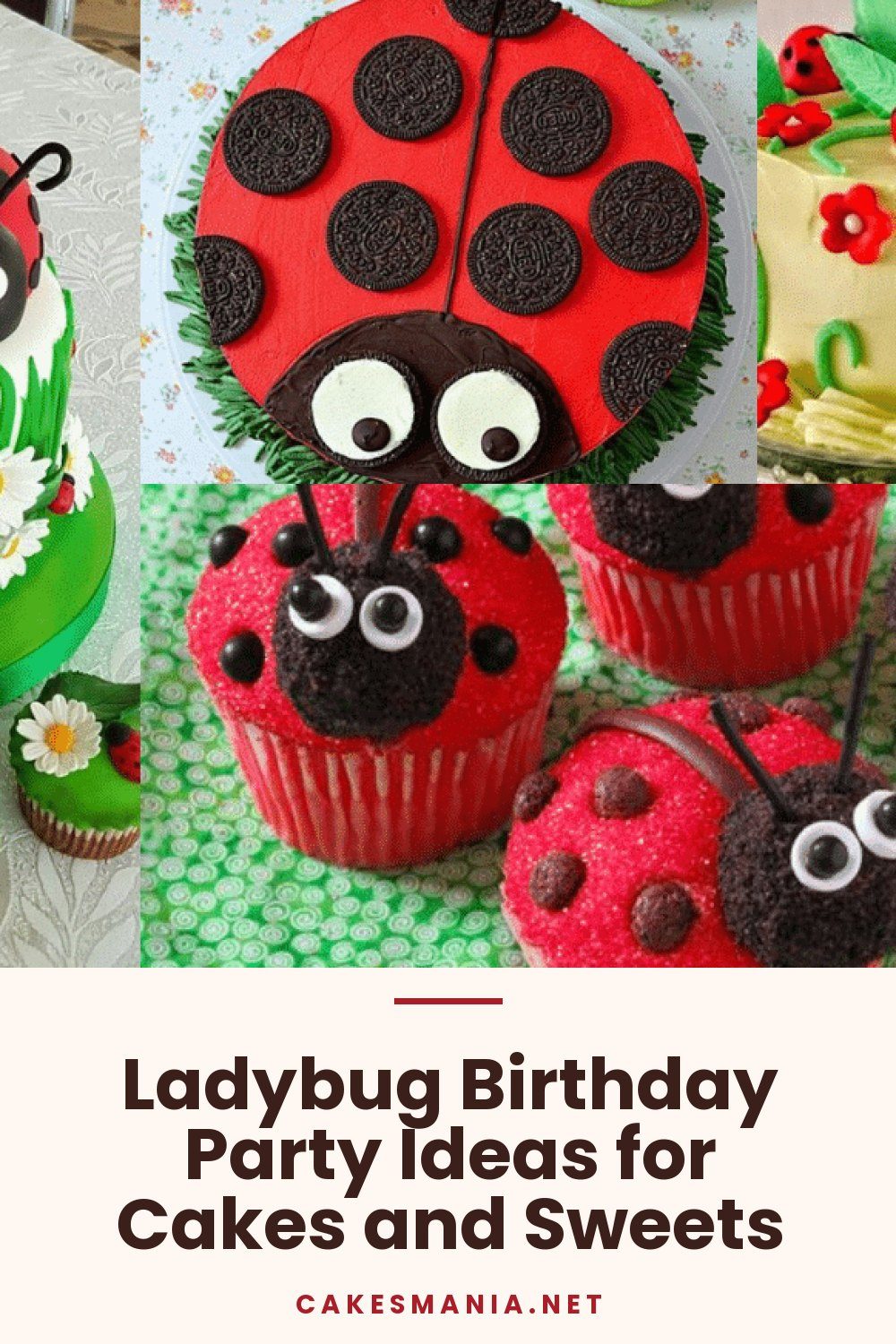 Ladybug Birthday Party Ideas for Cakes and Sweets