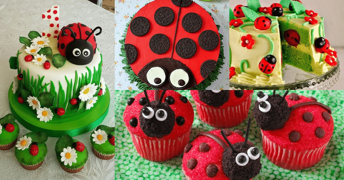 ladybug cake and candy ideas