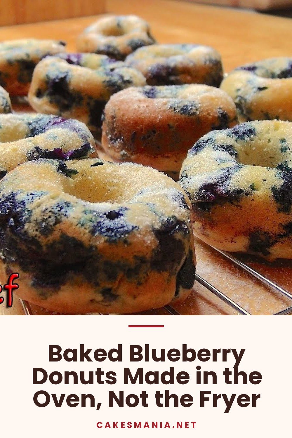 Baked Blueberry Donuts Made in the Oven, Not the Fryer