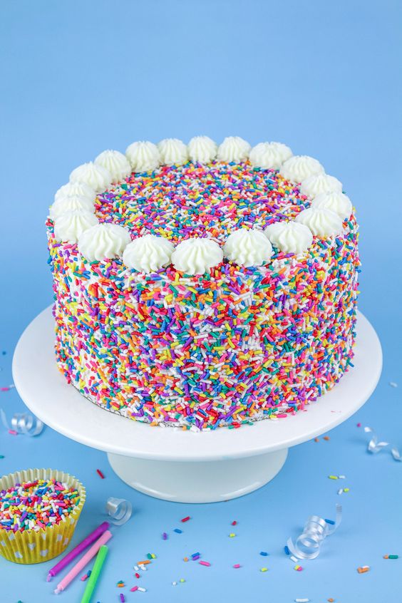 sprinkle birthday cake 4