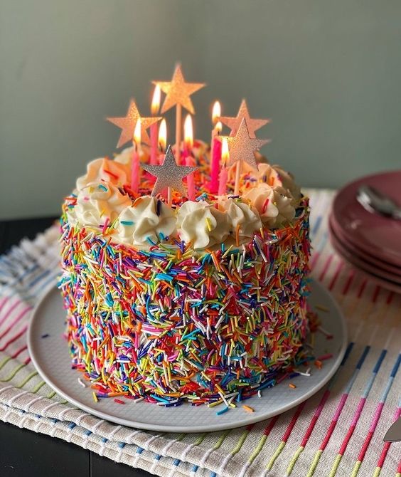 sprinkle birthday cake 5