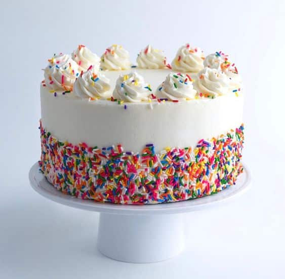 sprinkle birthday cake 6