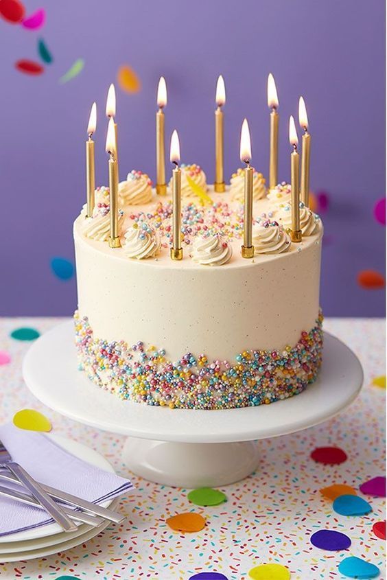 sprinkle birthday cake 8